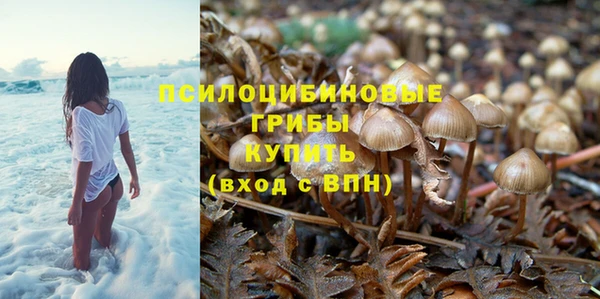 бошки Беломорск