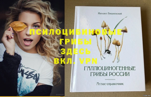 бошки Беломорск