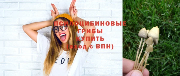 прущий лед Белоозёрский