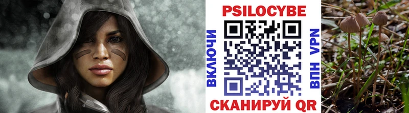 Галлюциногенные грибы Psilocybine cubensis  цена наркотик  даркнет как зайти  Павловск 